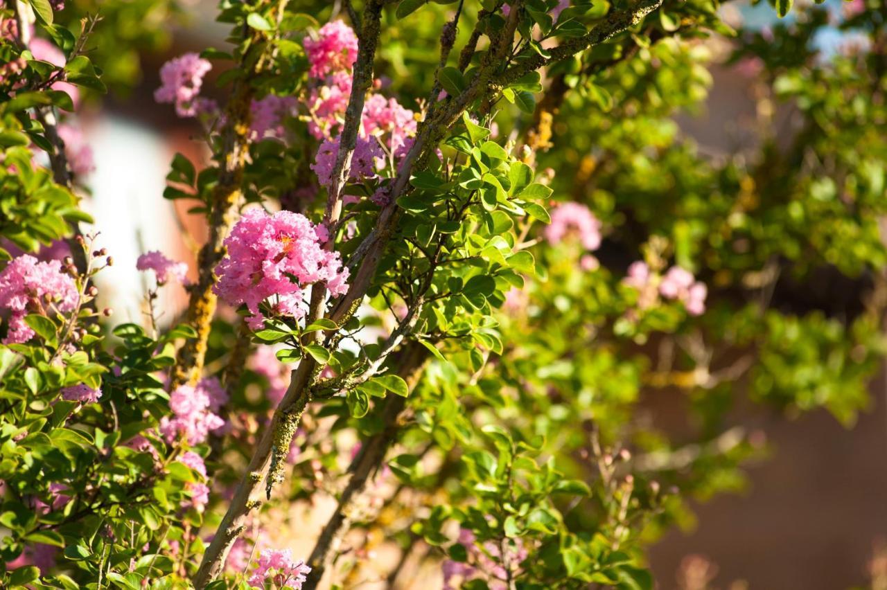 Agriturismo Cerqueto Acquapendente Buitenkant foto