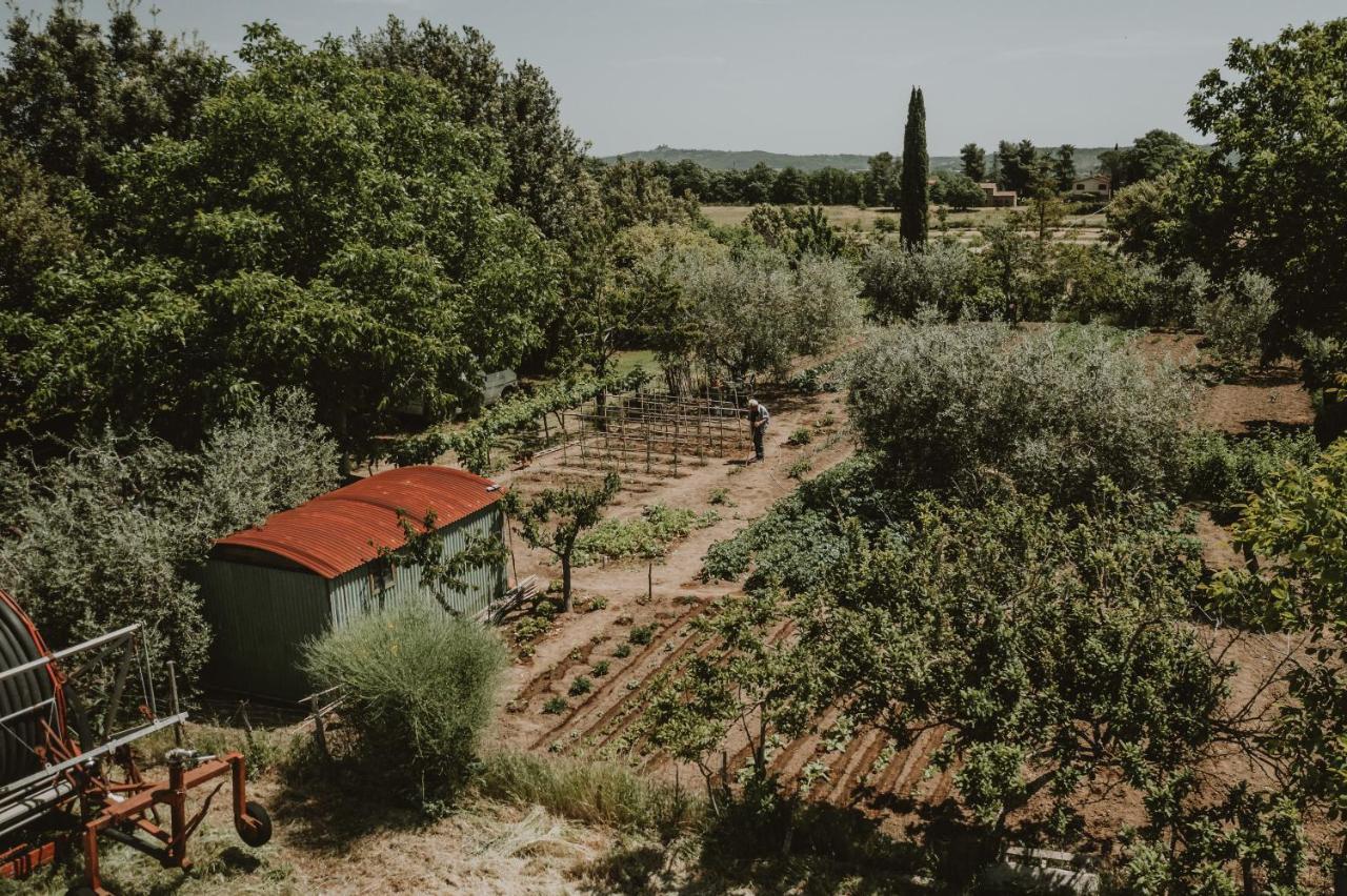 Agriturismo Cerqueto Acquapendente Buitenkant foto